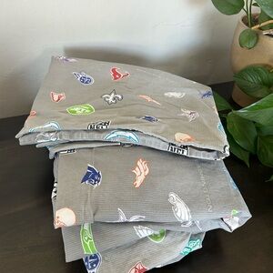 Pottery Barn Teen NFL Twin Sheet Set EUC